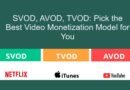 SVOD, AVOD, TVOD Pick the Best Video Monetization Model for You